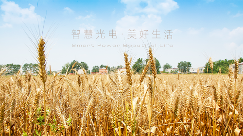 我國首部能源法正式問世,、國家能源局/工信部最新通知、?支持企業(yè)引進光伏技術(shù),、虛擬電廠全電量參與現(xiàn)貨電能量交易出清…… - 拷貝