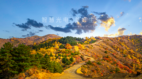 十二部門發(fā)布重要方案,、國家能源局發(fā)布能源和綠證數(shù)據(jù),、廣東省發(fā)布虛擬電廠參與電力市場交易實施方案……