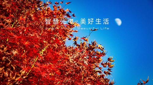 國家能源局發(fā)布指導(dǎo)意見和新批次名單,、國家統(tǒng)計局解讀11月份CPI和PPI數(shù)據(jù)、?新一輪儲能政策頒布……