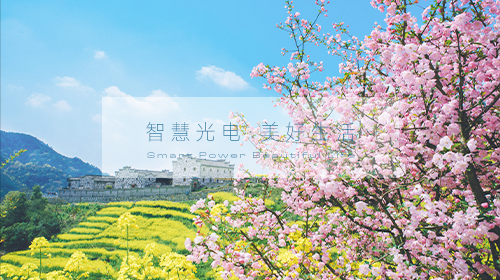 2025年能源工作指導(dǎo)意見(jiàn)、光伏行業(yè)研討會(huì),、本月電網(wǎng)企業(yè)代理購(gòu)電價(jià)格,、多地修訂電力中長(zhǎng)期交易實(shí)施規(guī)則